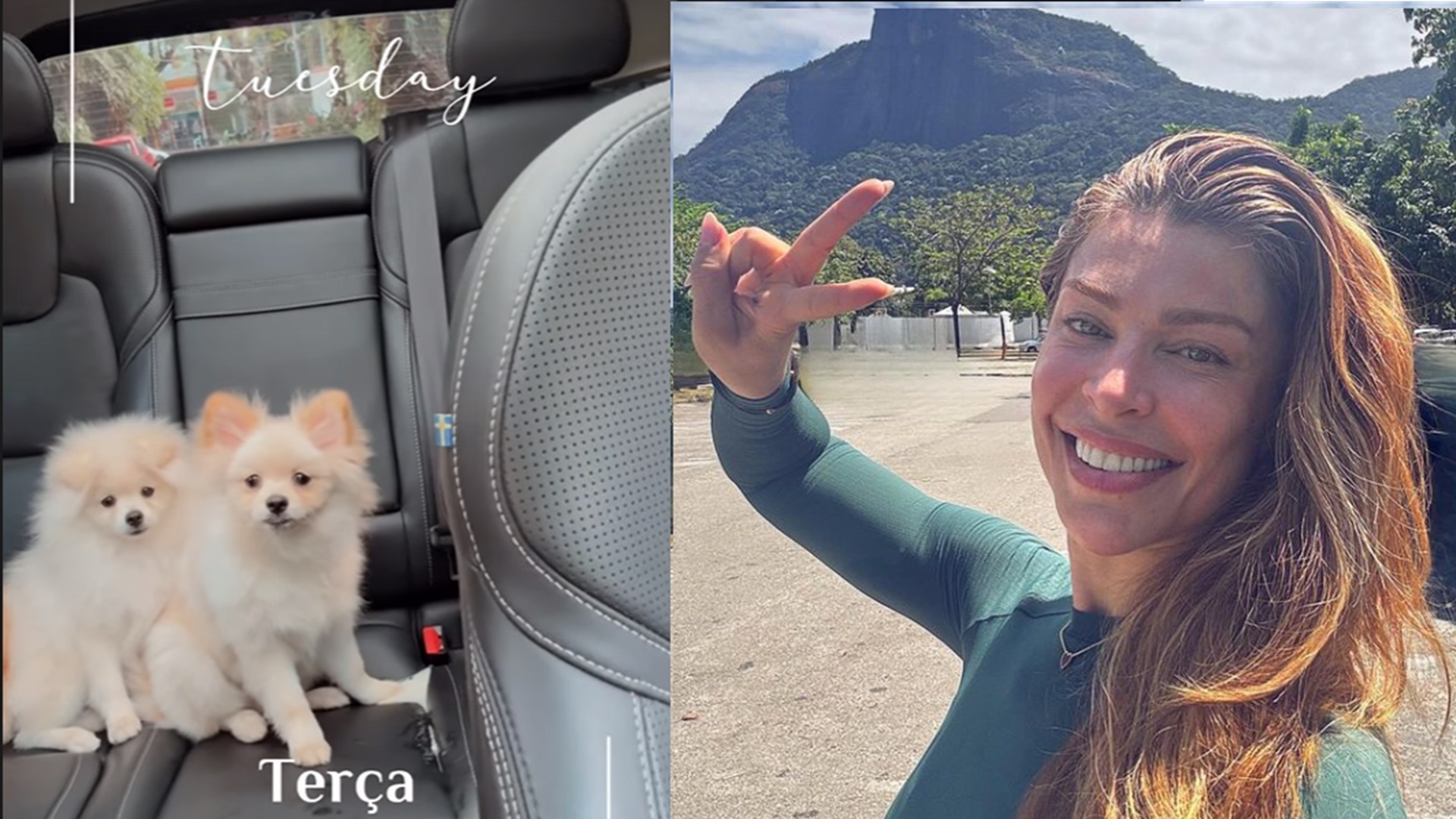 Grazi Massafera passa perrengue com seus cachorros: ‘Aconteceu de tudo’