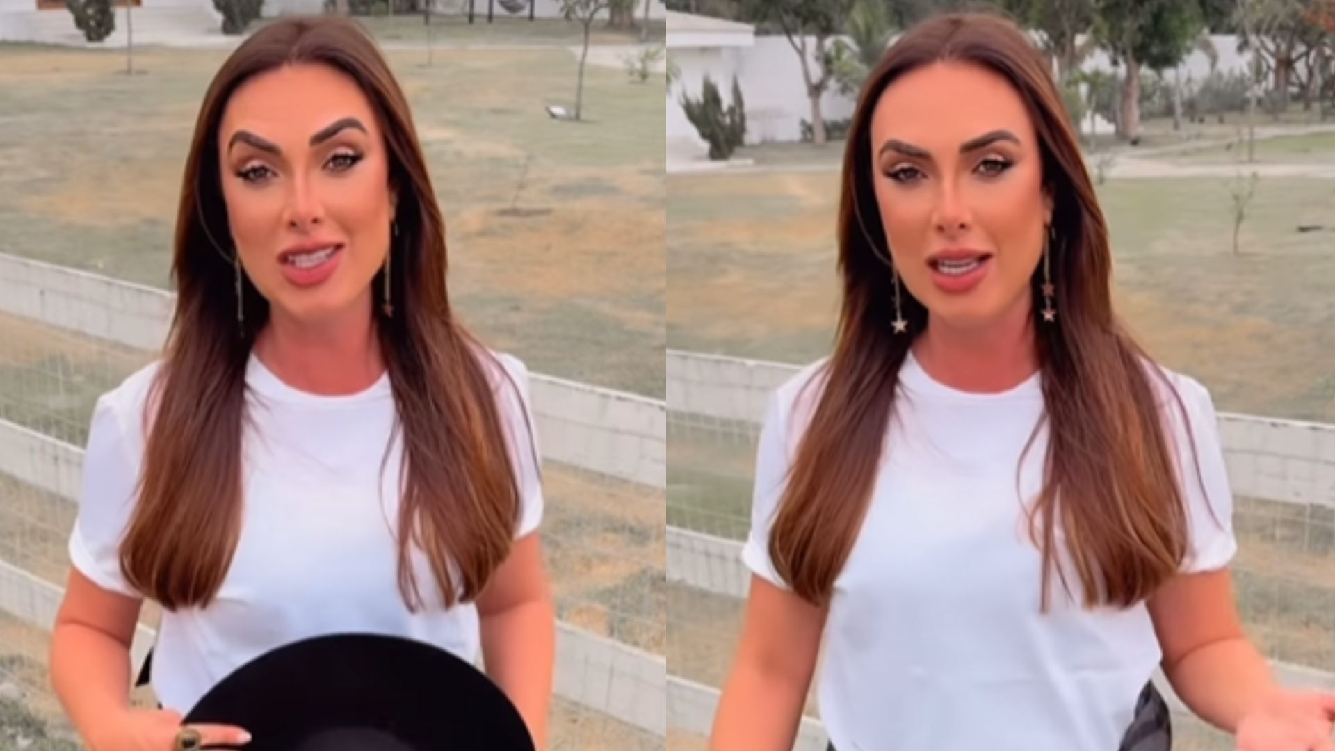 Nicole Bahls constrói ‘casa própria’ para seus animais: ‘Estão amando’