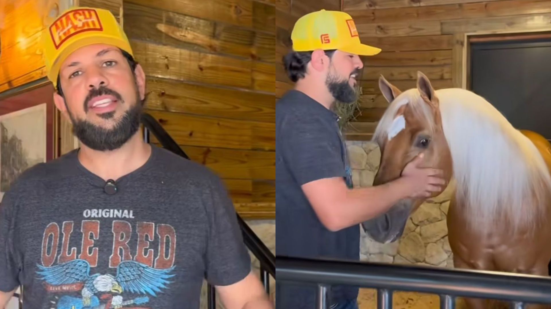 Sorocaba constrói casa de luxo para cavalo importado: “Cantinho acolhedor”
