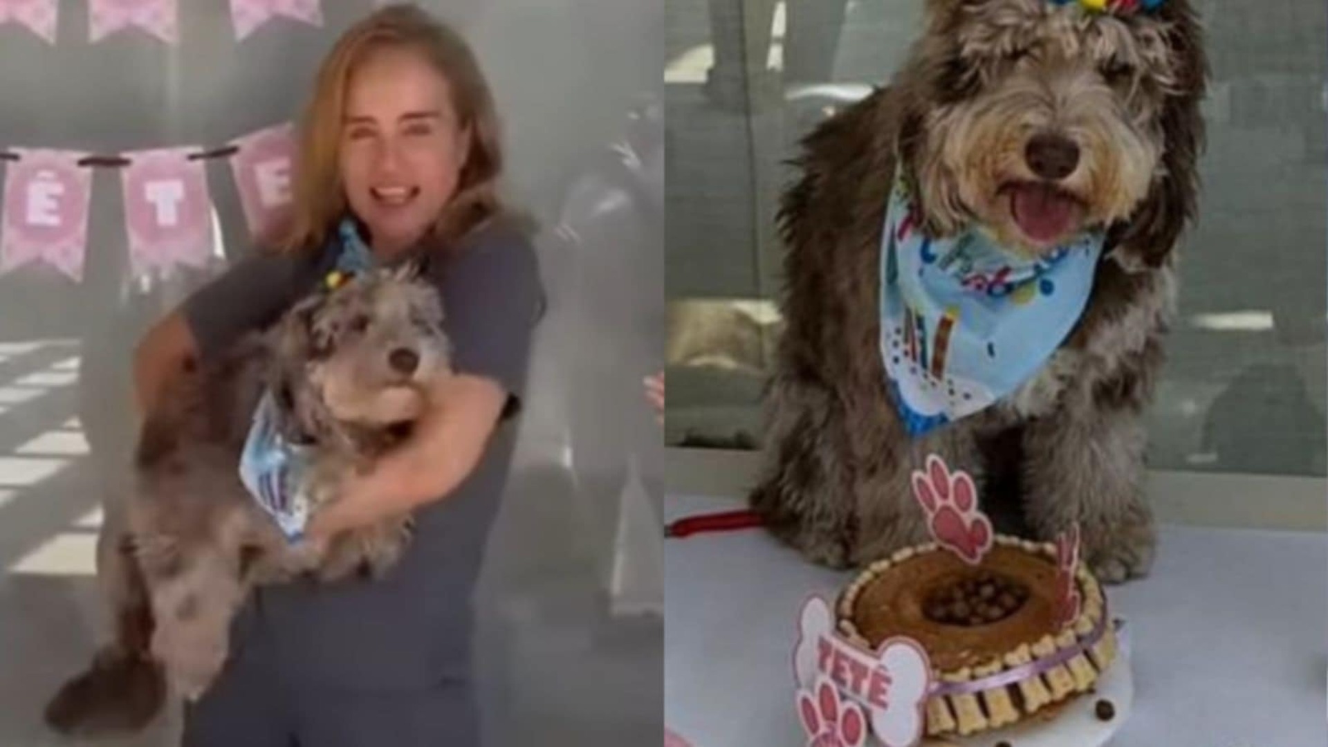Angélica faz festa de aniversário para sua cachorra e pet dá show de fofura