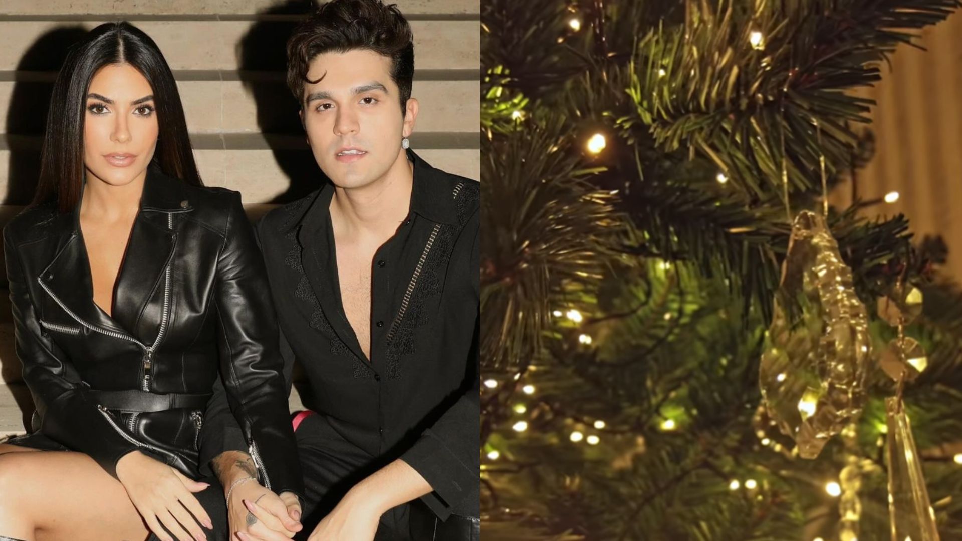Jade Magalhães encanta ao exibir decoração de sua árvore de Natal: ‘Elegante’