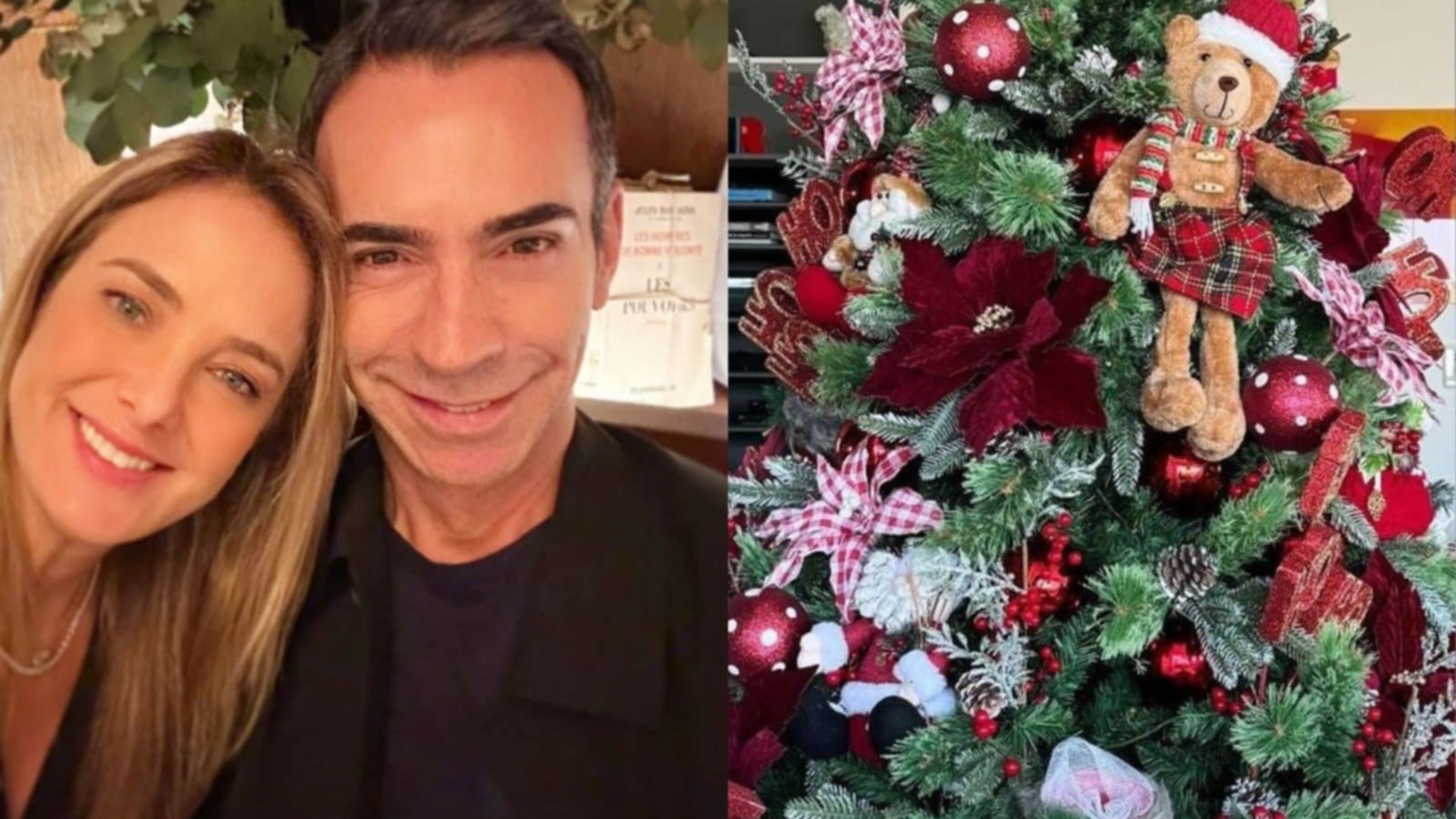 Ticiane Pinheiro mostra árvore de Natal de seu apartamento e de Cesar Tralli
