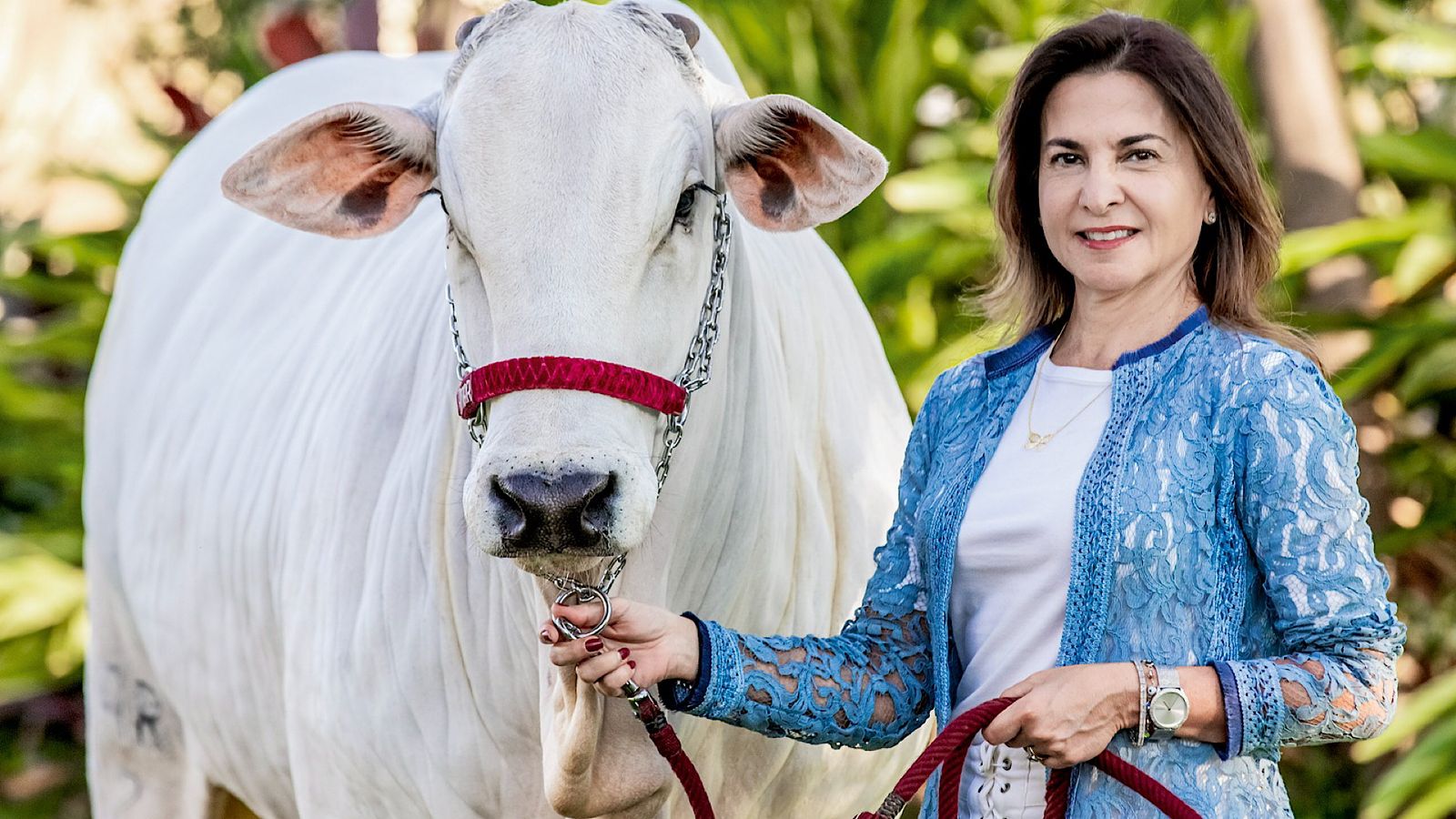Ana Cláudia Mendes visa à sustentabilidade e bem-estar no campo: ‘Respirando o agronegócio’