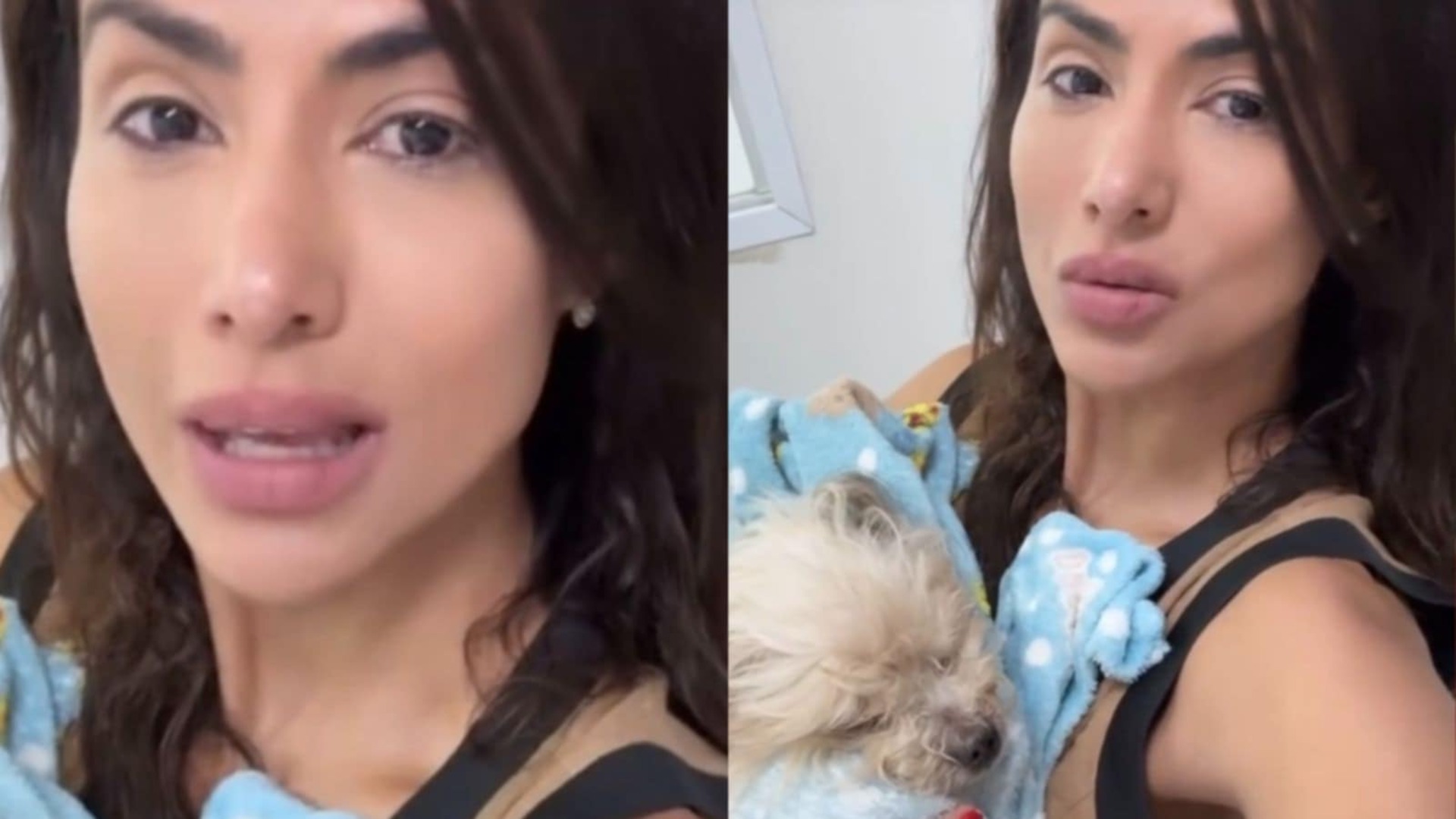 Flávia Noronha revela estado de saúde de seu cão após choque anafilático