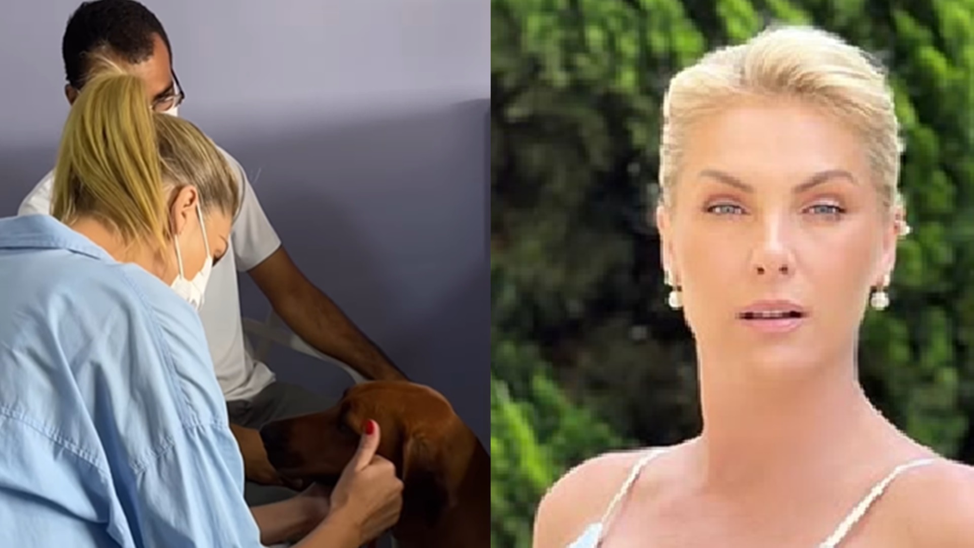 Ana Hickmann comove ao falar sobre morte de sua cachorra: ‘Saudade aperta o coração’