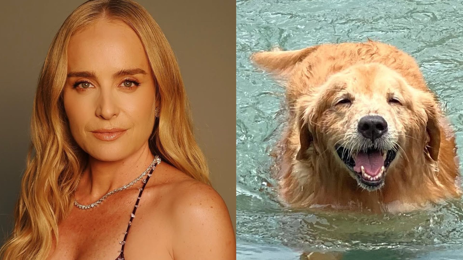 Angélica lamenta morte de cachorra de estimação: ‘Foi guerreira até o fim’