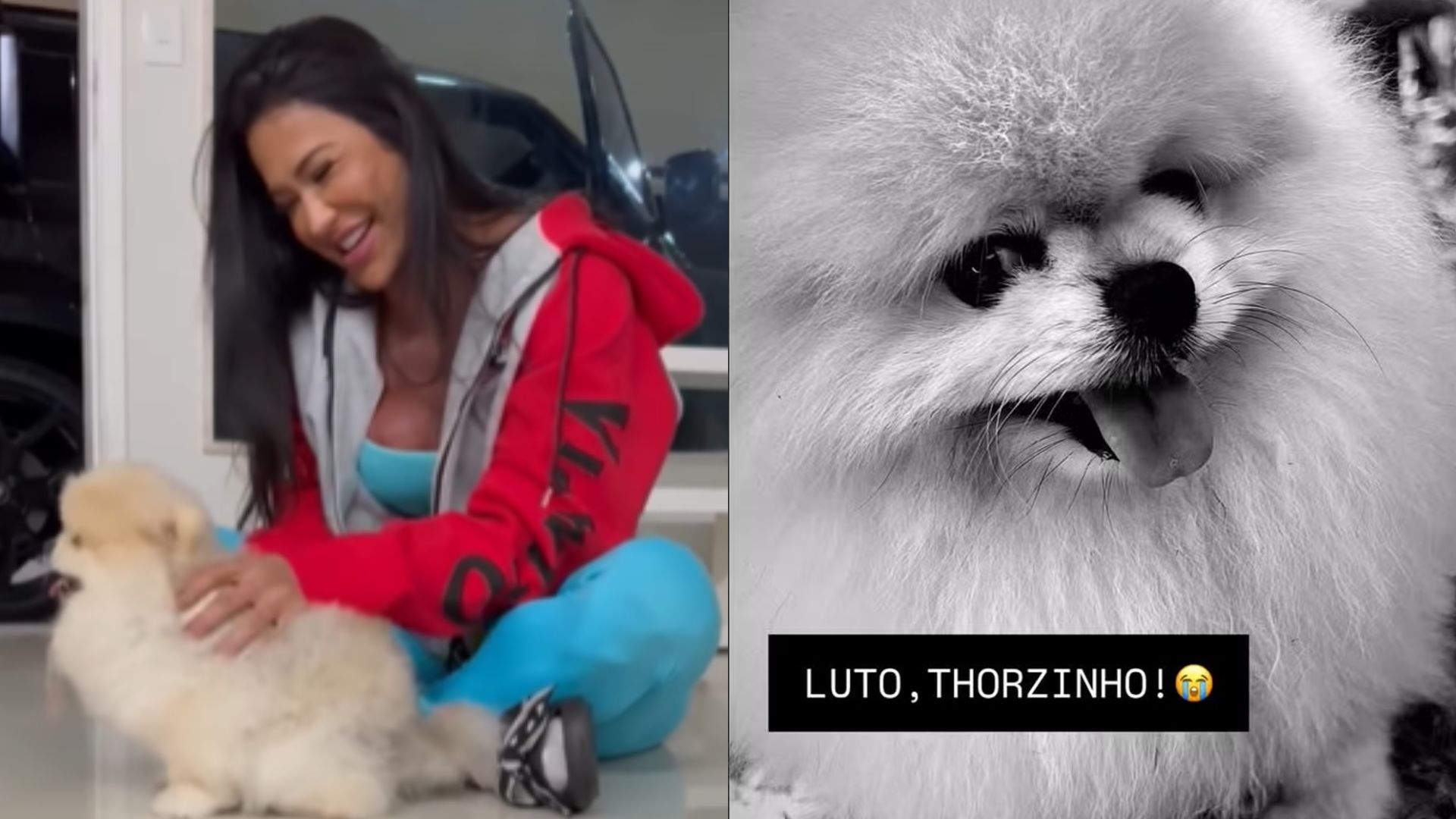 Gracyanne Barbosa lamenta a morte de seu cachorro em vídeo emocionante