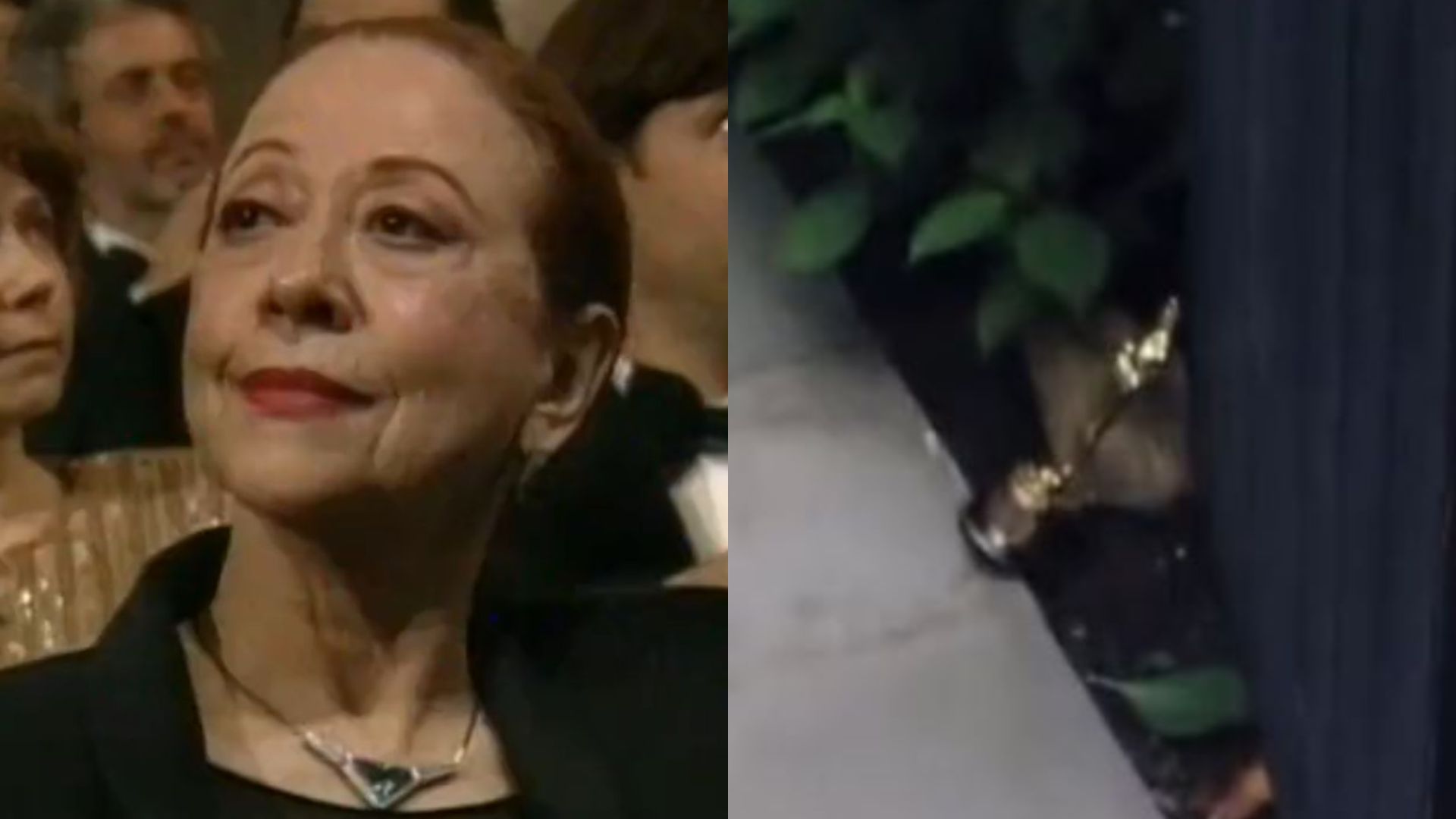 Estatueta do Oscar que poderia ser de Fernanda Montenegro virou peso de porta para atriz vencedora