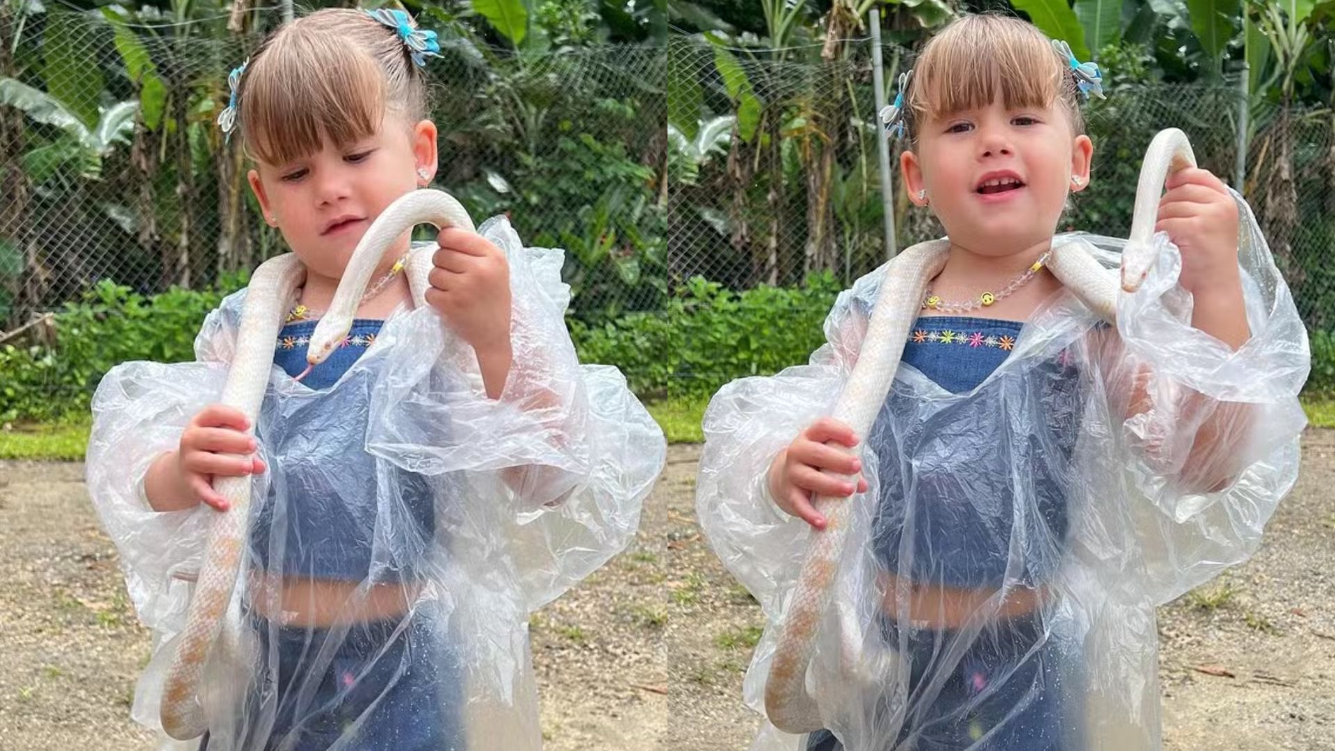 Virginia exibe foto da filha segurando cobra e impressiona fãs: “Corajosa!”