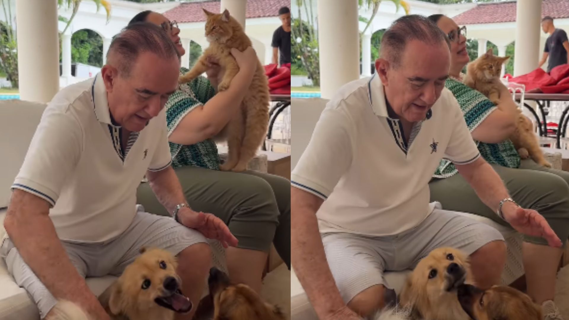 Prestes a fazer 90 anos, Renato Aragão brinca com os bichos de estimação