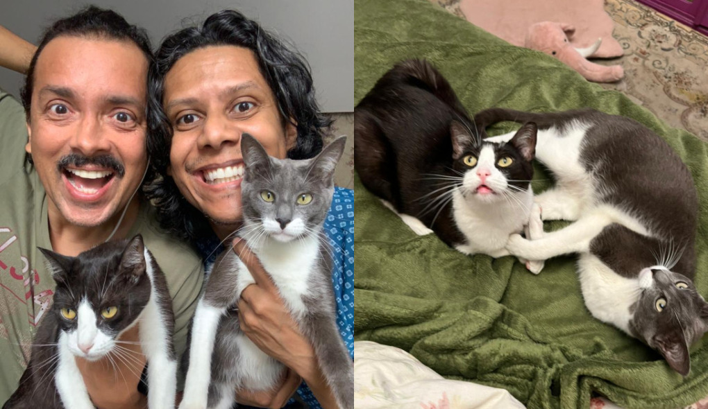 Rodrigo Fagundes se derrete ao falar das gatinhas Agatha e Emily: ‘Anjos na vida da gente’