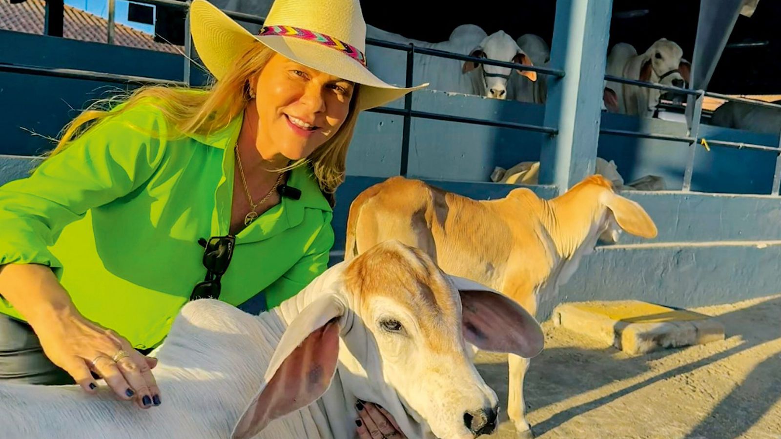 Gis Gontijo leva força feminina à criação de gado: ‘Amor pelo agro’