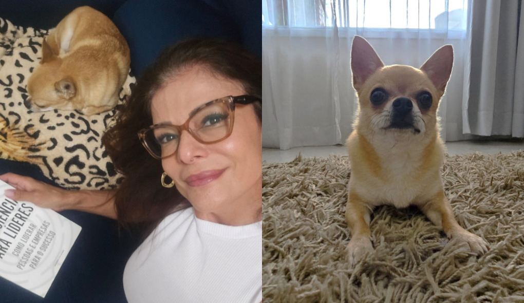Analice Nicolau revela aprendizado após adotar Sputnik: ‘Amor e aceitação’