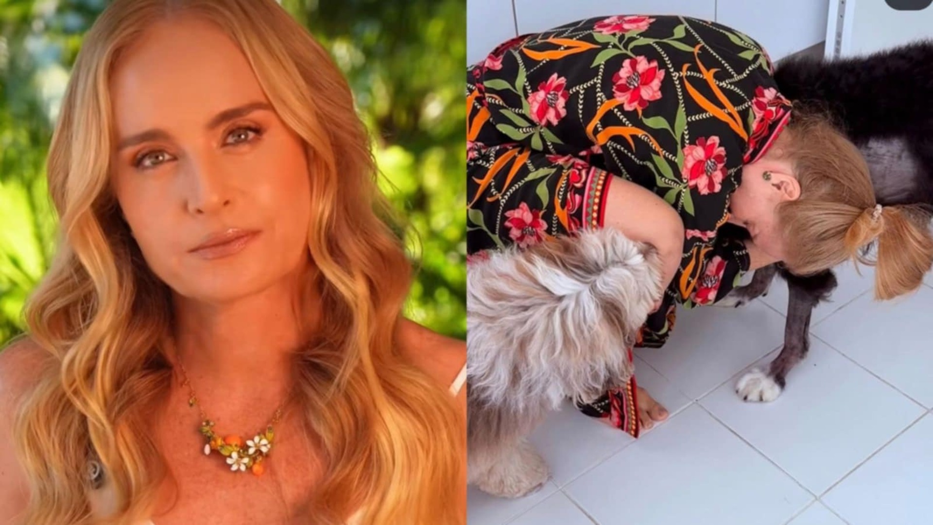 Angélica lamenta morte de mais um cachorro de sua família na mesma semana
