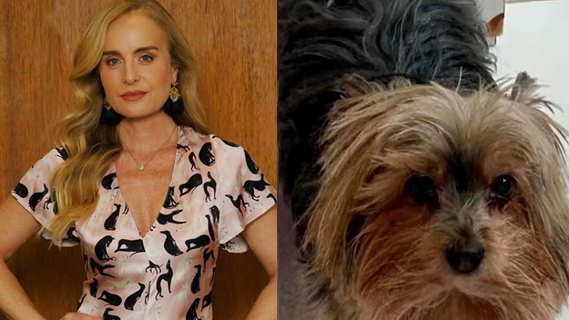 Angélica comove ao lamentar morte de sua cachorra: ‘Um susto e uma tristeza enorme’
