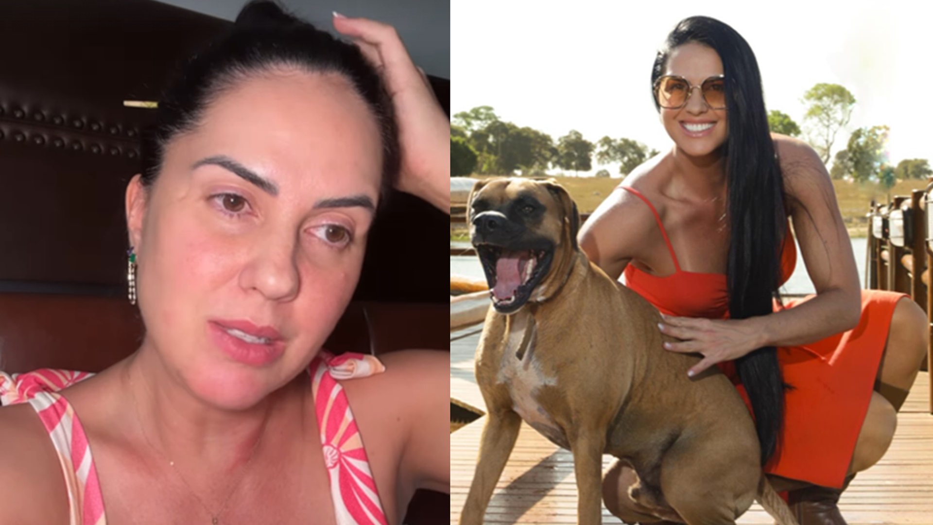 Graciele Lacerda mostra como está seu cachorro após acidente com helicóptero