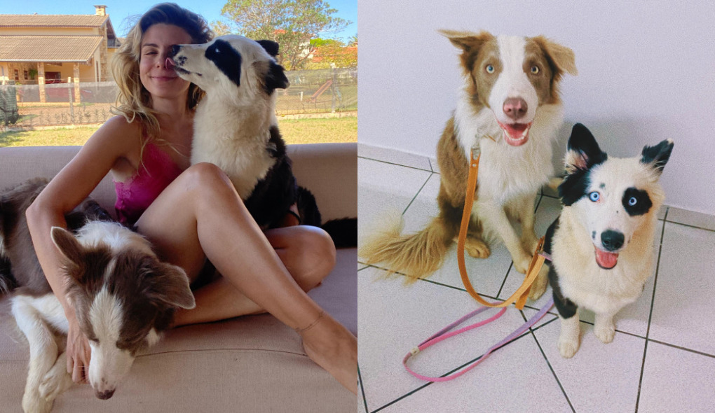 Julia Foti entrega personalidades do casal Chico e Charlotte: ‘Agitado e uma lady’