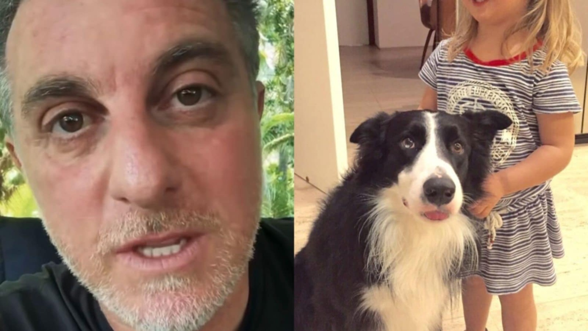 Luciano Huck lamenta morte de mais um cachorro de sua família: ‘Veneno’