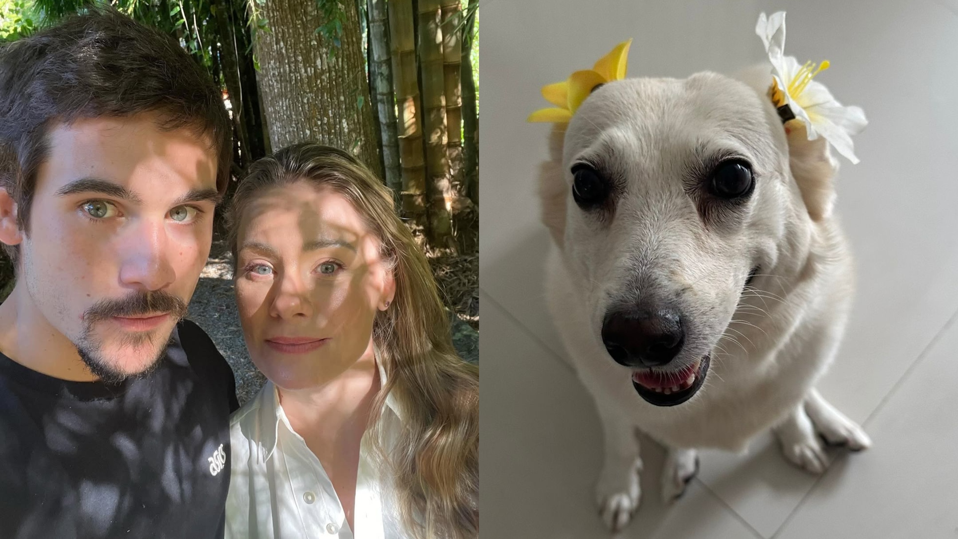 Giselle e Nicolas Prattes salvam animais após morte de idosa: ‘Uma emocionante história de adoção’