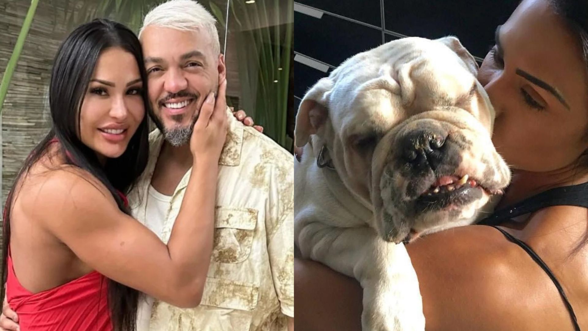 Belo lamenta morte do cachorro de Gracyanne Barbosa: ‘Descansou’