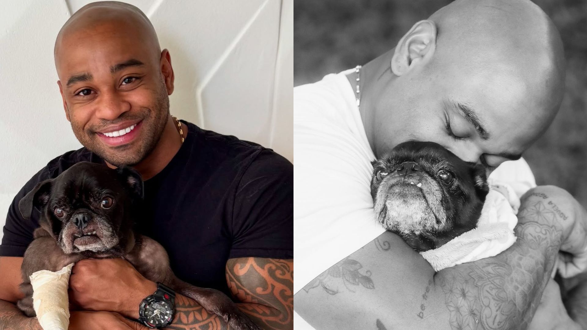 Ex-BBB Cezar Black lamenta morte de seu cachorro: ‘Não sei viver sem você’