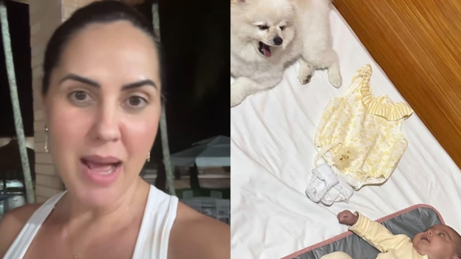 Graciele Lacerda encanta ao mostrar Clara interagindo com cachorrinho; veja