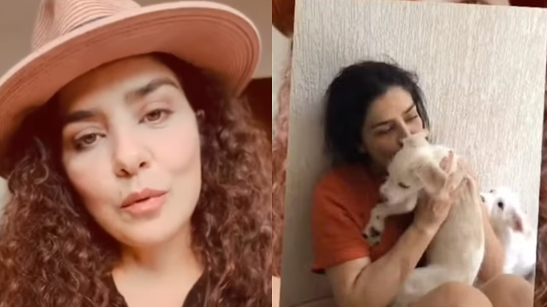 Letícia Sabatella diz que seus cachorros foram doados sem sua permissão e faz apelo