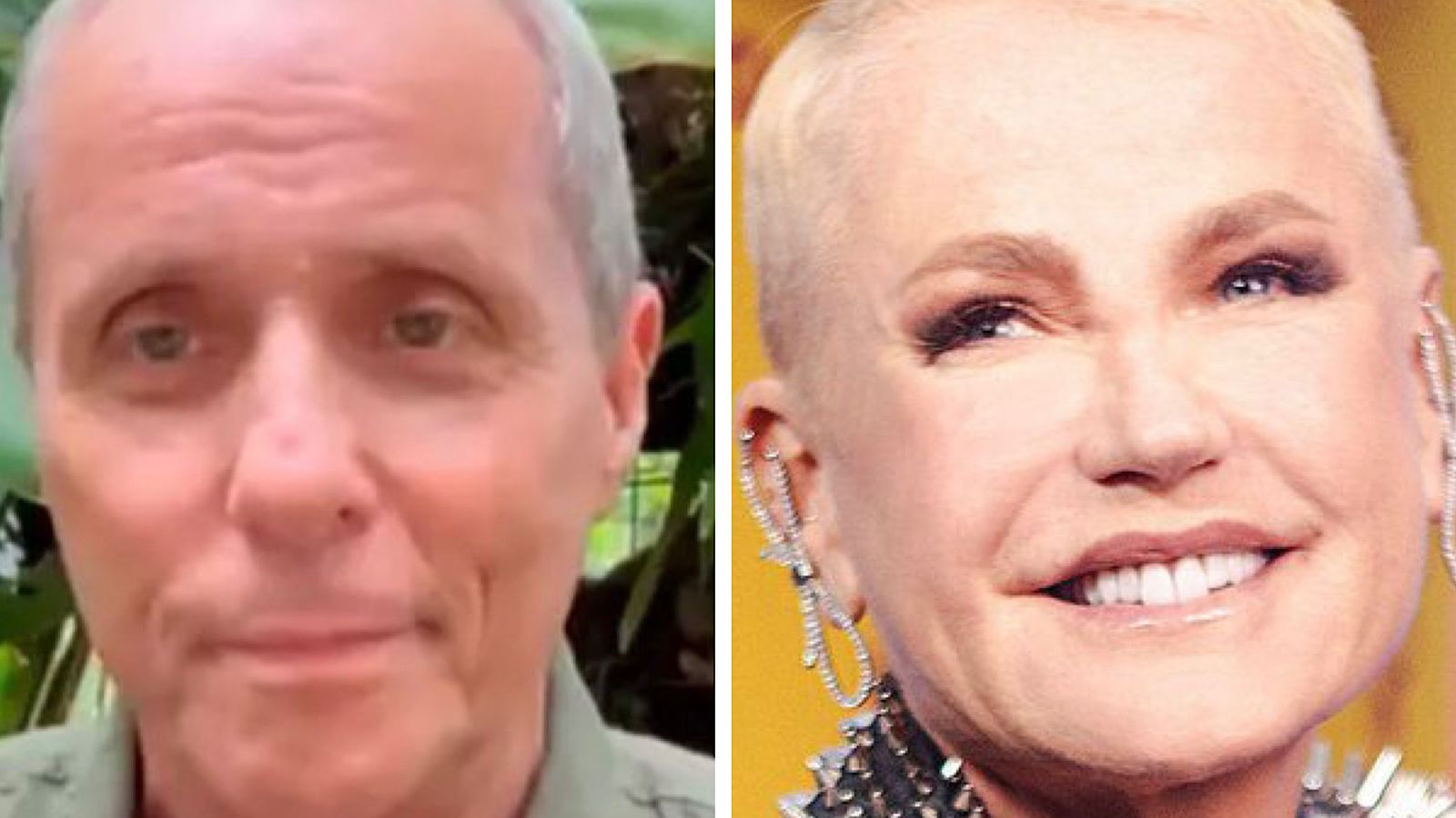 Reencontro de Belo e Gracyanne, saúde de Tony Bellotto e procedimento de Xuxa marcam a semana