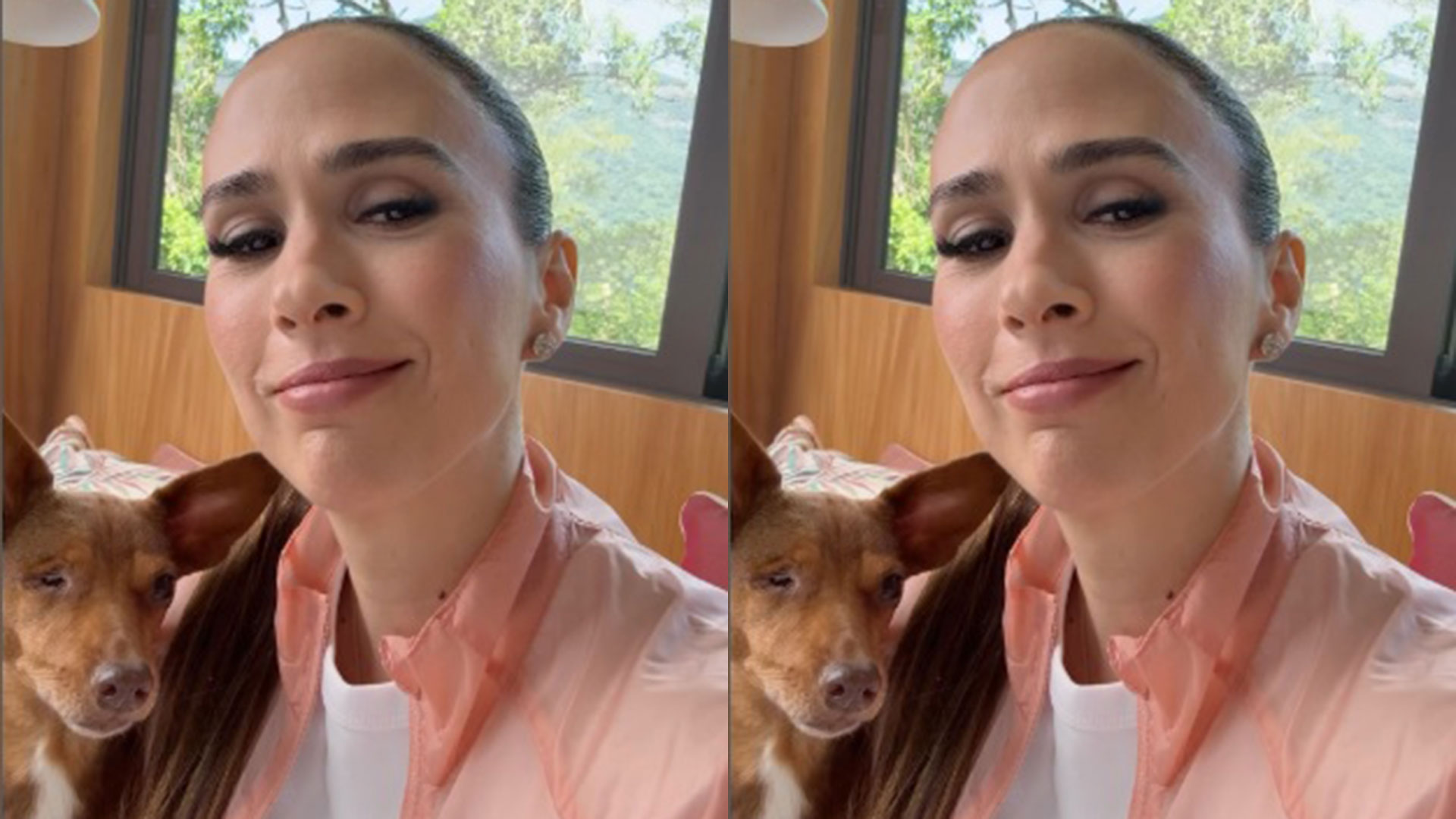 Tata Werneck desabafa após pet ser barrada em concurso: ‘Revoltada’