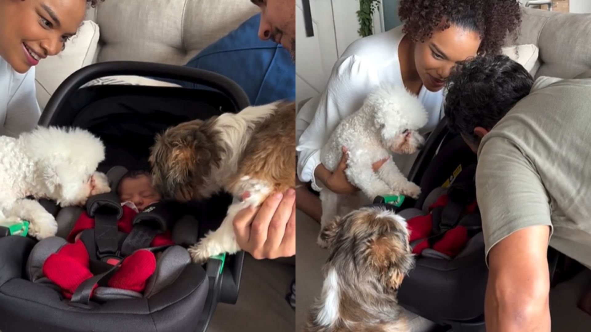 Lucy Ramos encanta ao registrar primeiro contato da filha com seus cachorros