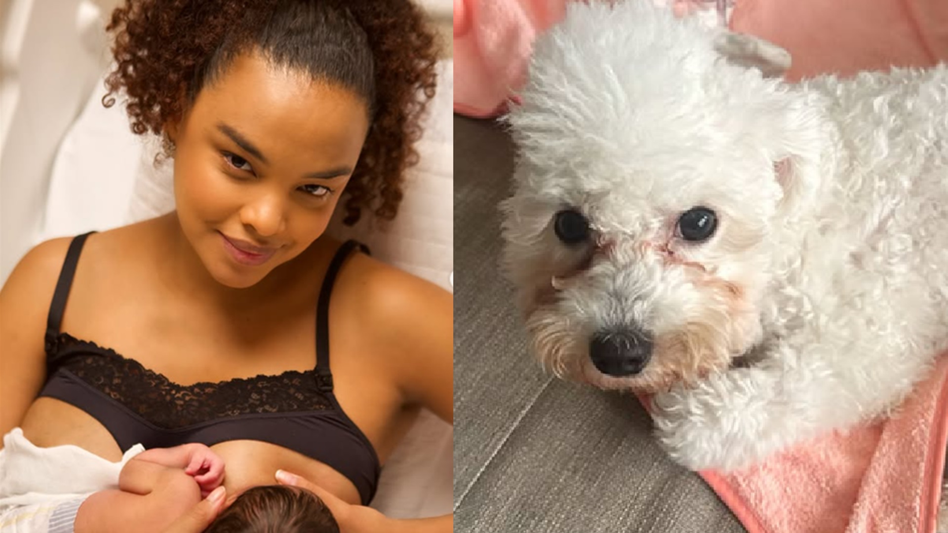 Lucy Ramos se derrete ao mostrar a filha recém-nascida com o cachorro: ‘Parceria’
