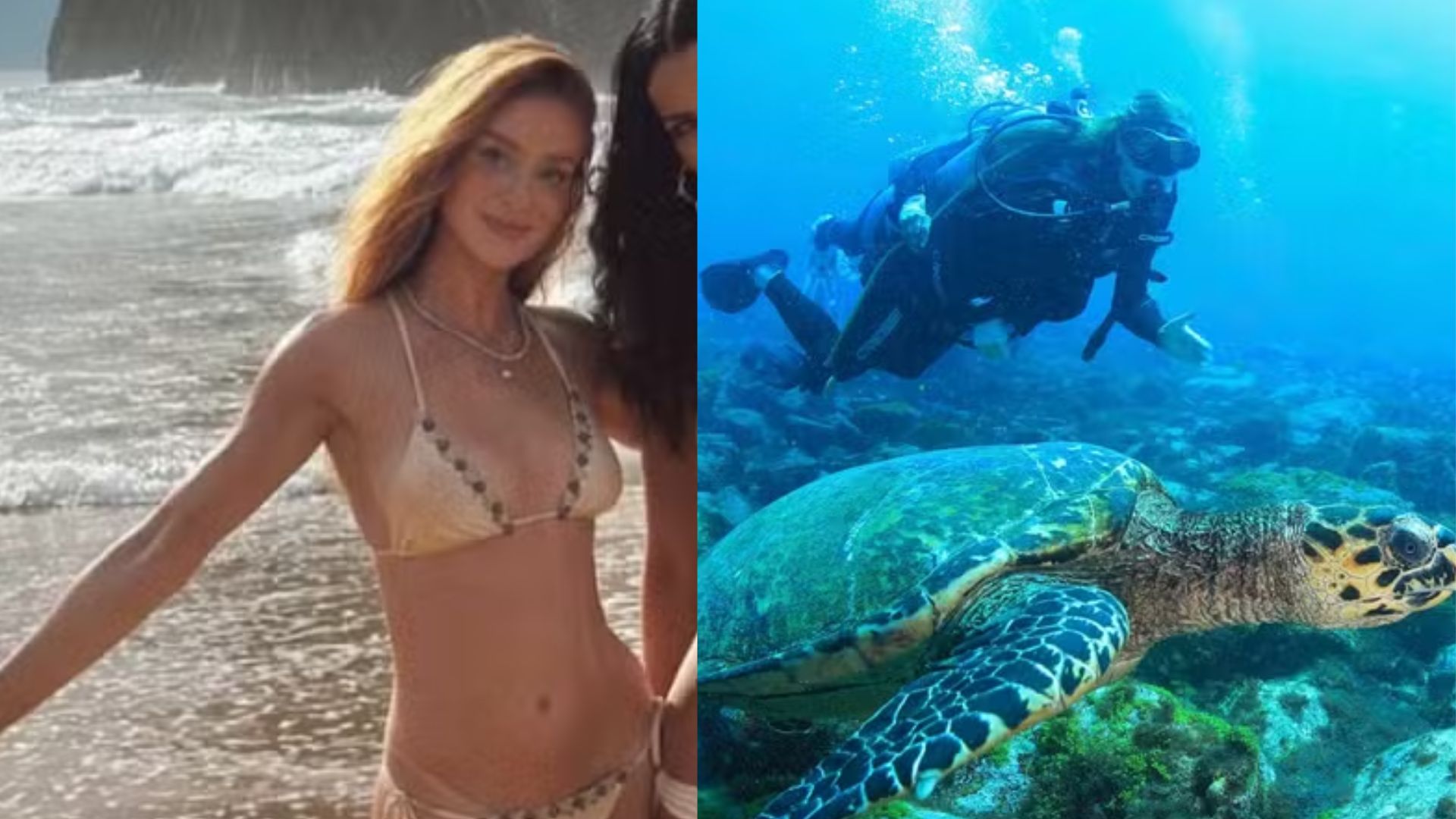 Marina Ruy Barbosa posa de biquíni e mergulha com tartaruga-marinha em Noronha
