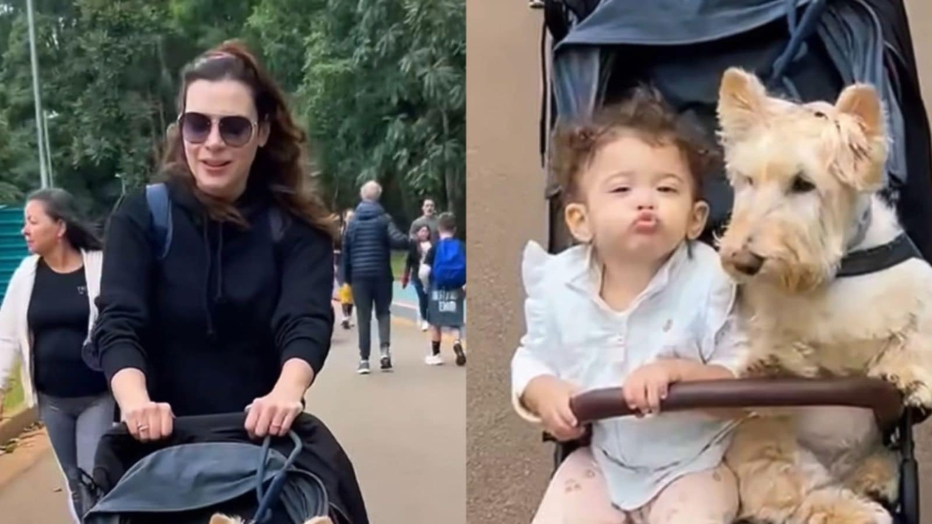 Michelle Loreto mostra sua filha e cachorra amigas: ‘Não gostava de crianças’