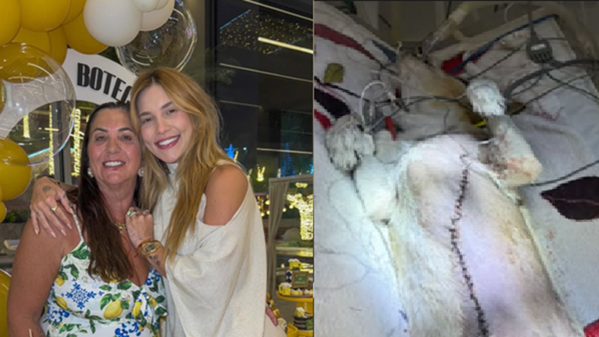 Cachorra da família de Virginia passa por cirurgia após diagnóstico de câncer: ‘Notícia é muito triste’