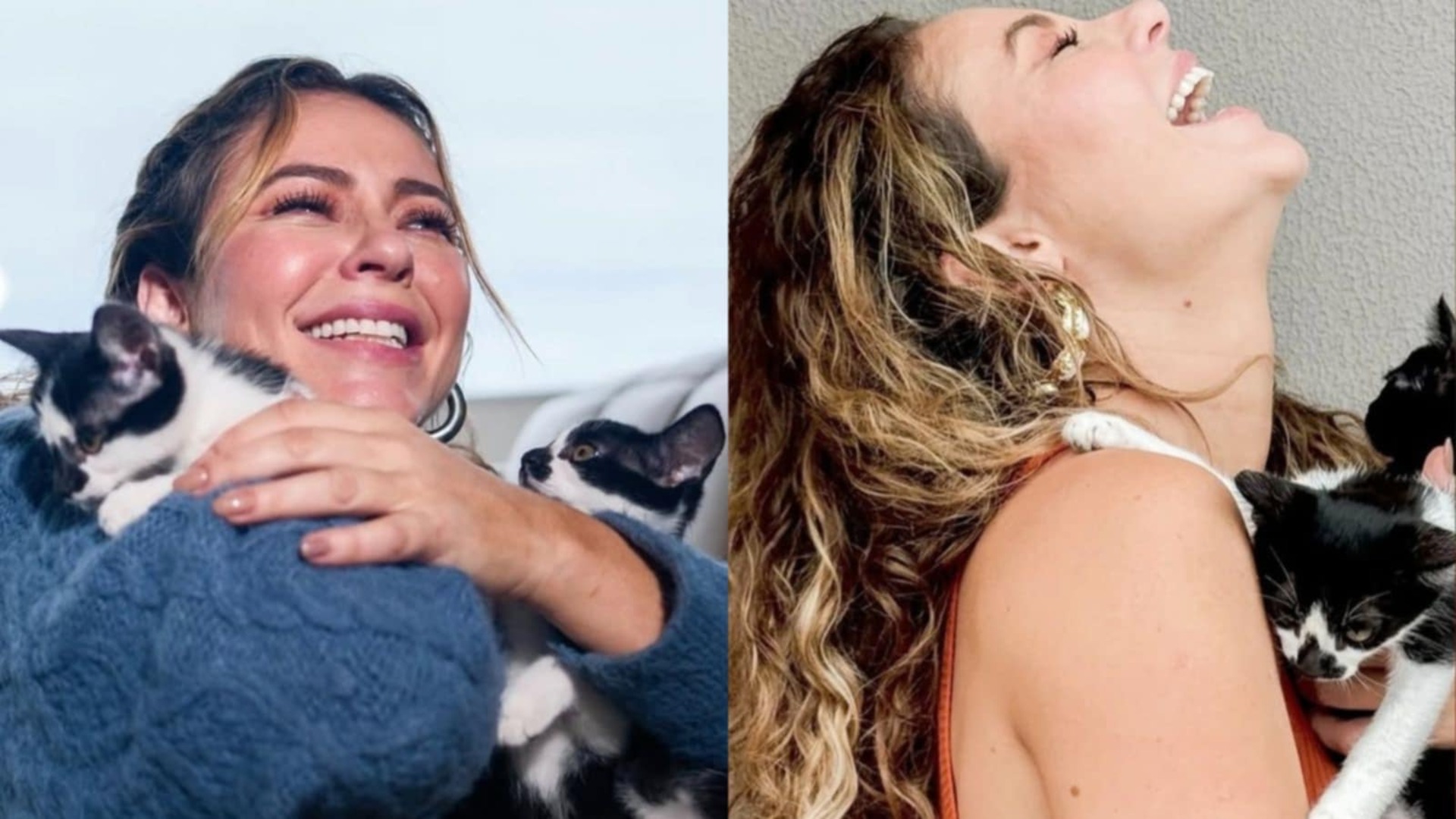 Paolla Oliveira fala sobre adoção de quase 20 animais: ‘Foram chegando’