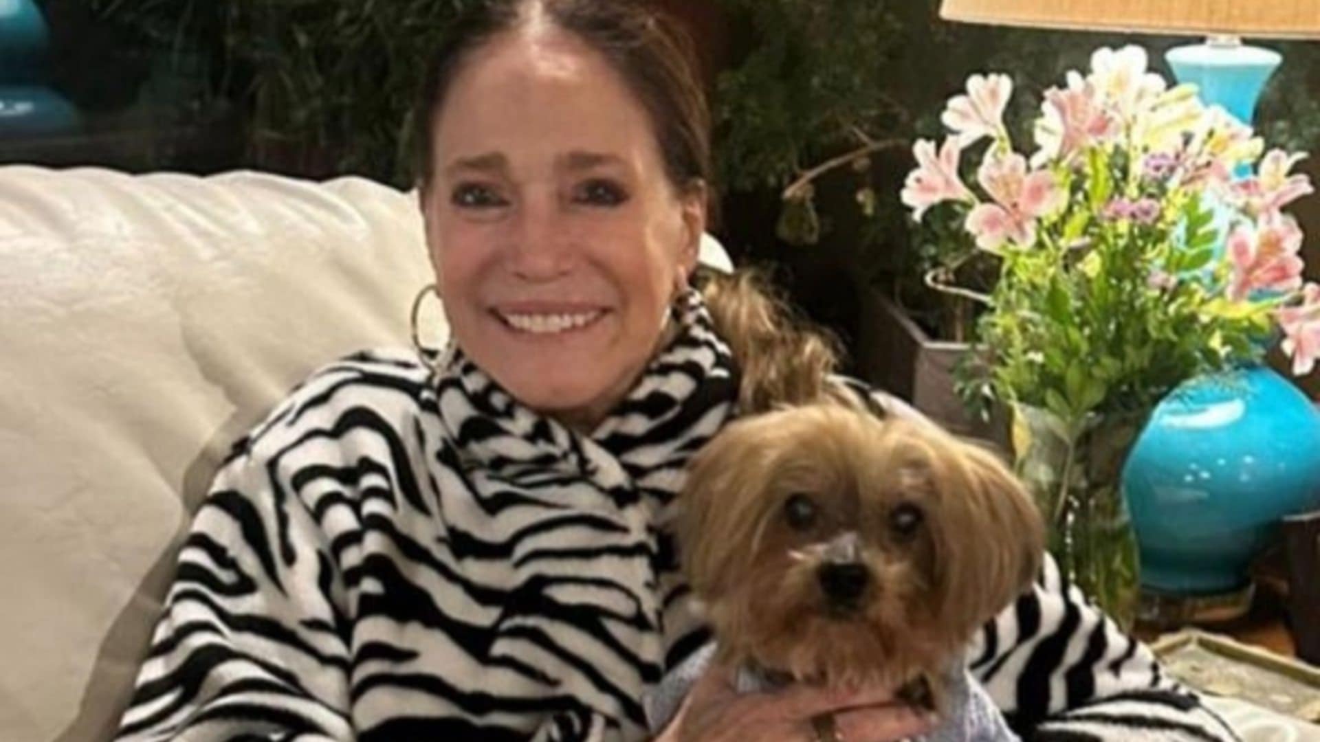 Susana Vieira lamenta perda de seu cachorro e pede perdão: ‘Chorei muito’