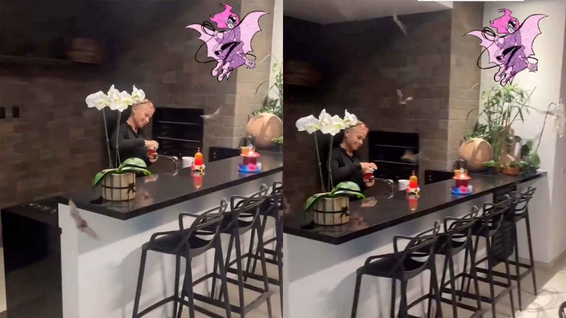Xuxa Meneghel surge rodeada de morcegos em sua mansão