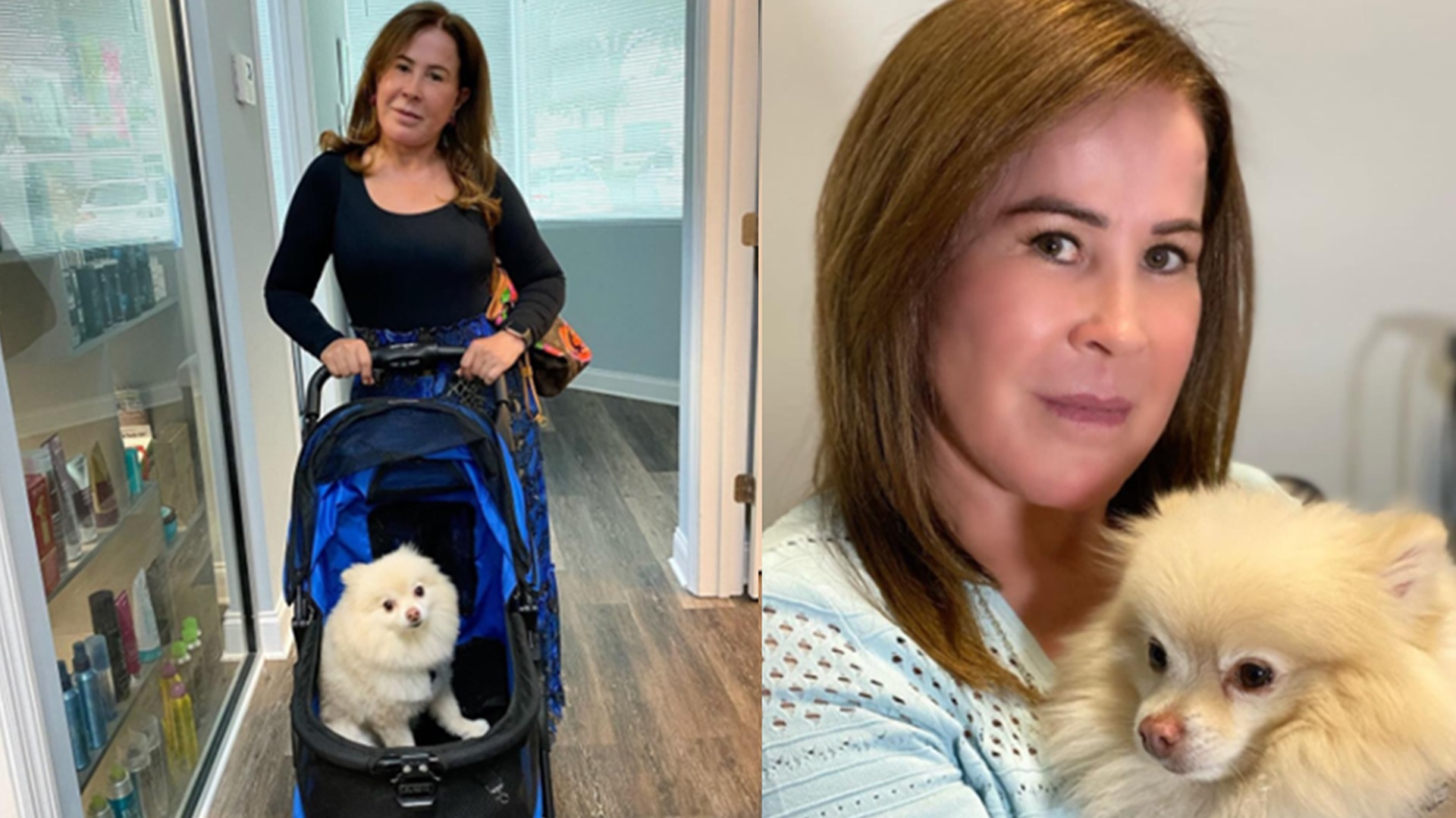 Zilu Camargo desabafa sobre ‘dor imensa’ após cachorro passar mal e morrer: ‘Eternamente’