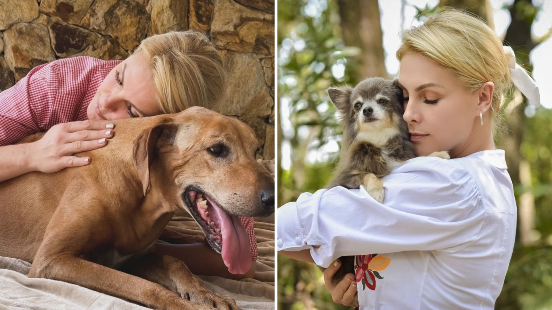 Ana Hickmann enfrenta luto duplo por pets e psicóloga alerta: ‘Ainda mais devastador’