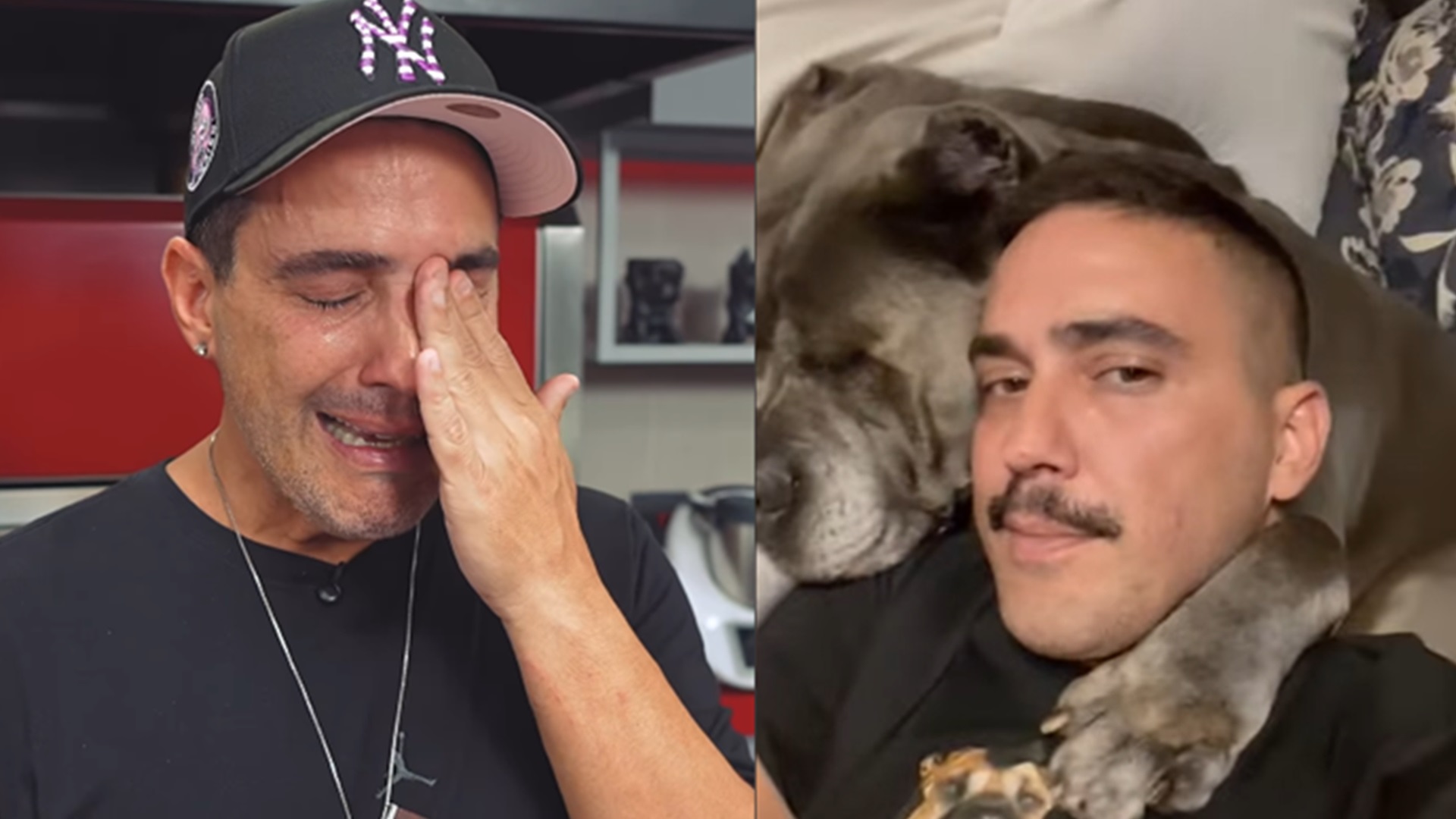 André Marques chora ao receber joias feitas com as cinzas de sua cachorra: ‘Eterna’