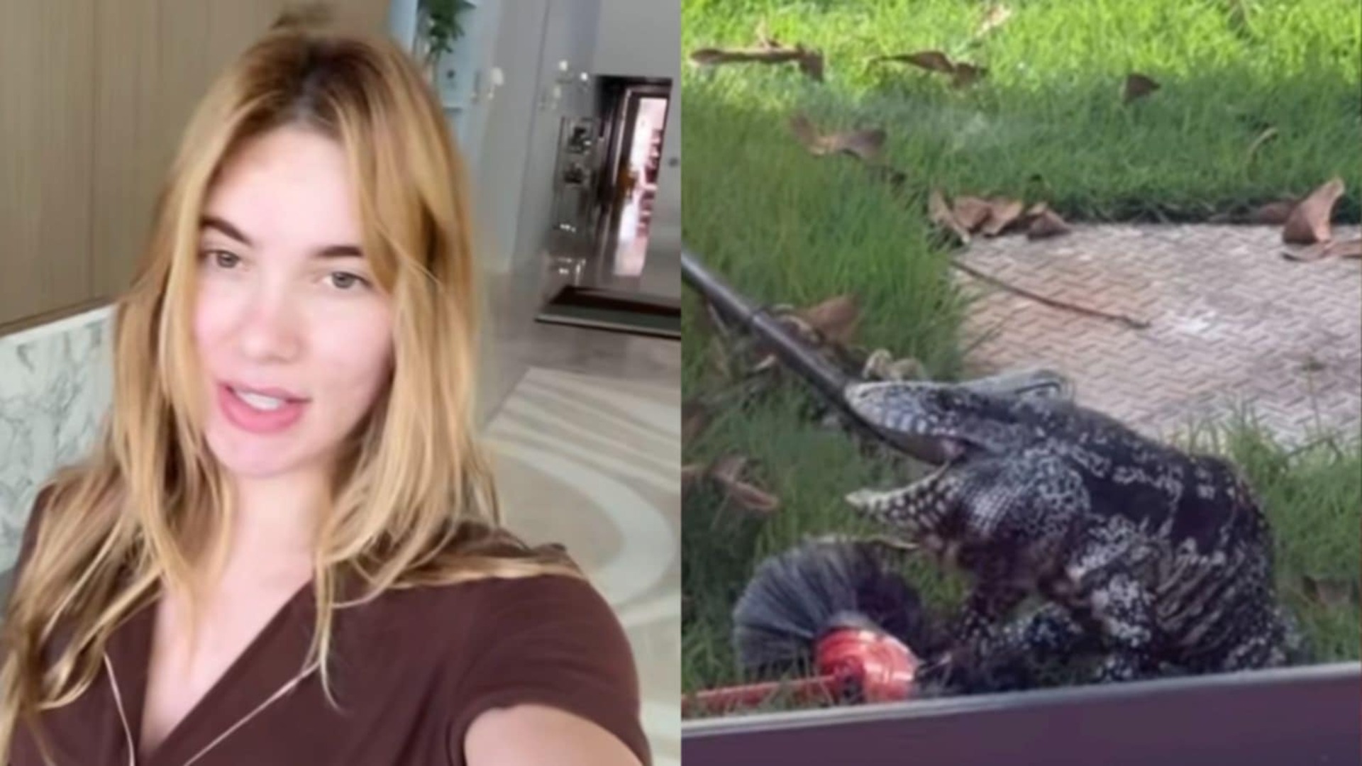 Bicho enorme invade mansão de Virginia Fonseca: ‘É bravo’