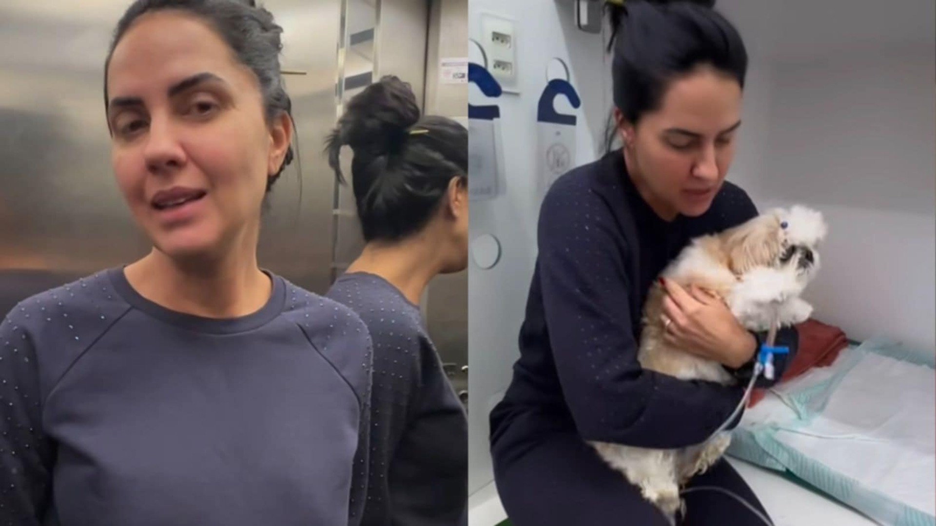 Graciele Lacerda sofre ao ver sua cachorra internada: ‘Coração aperta’