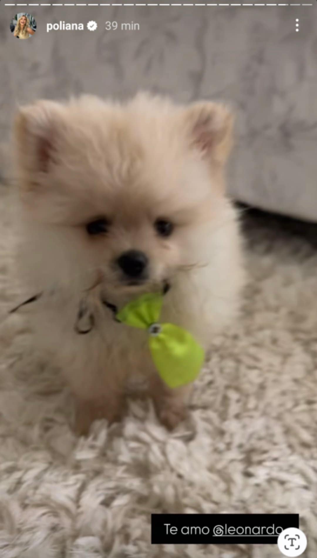 Poliana Rocha ganha cachorro