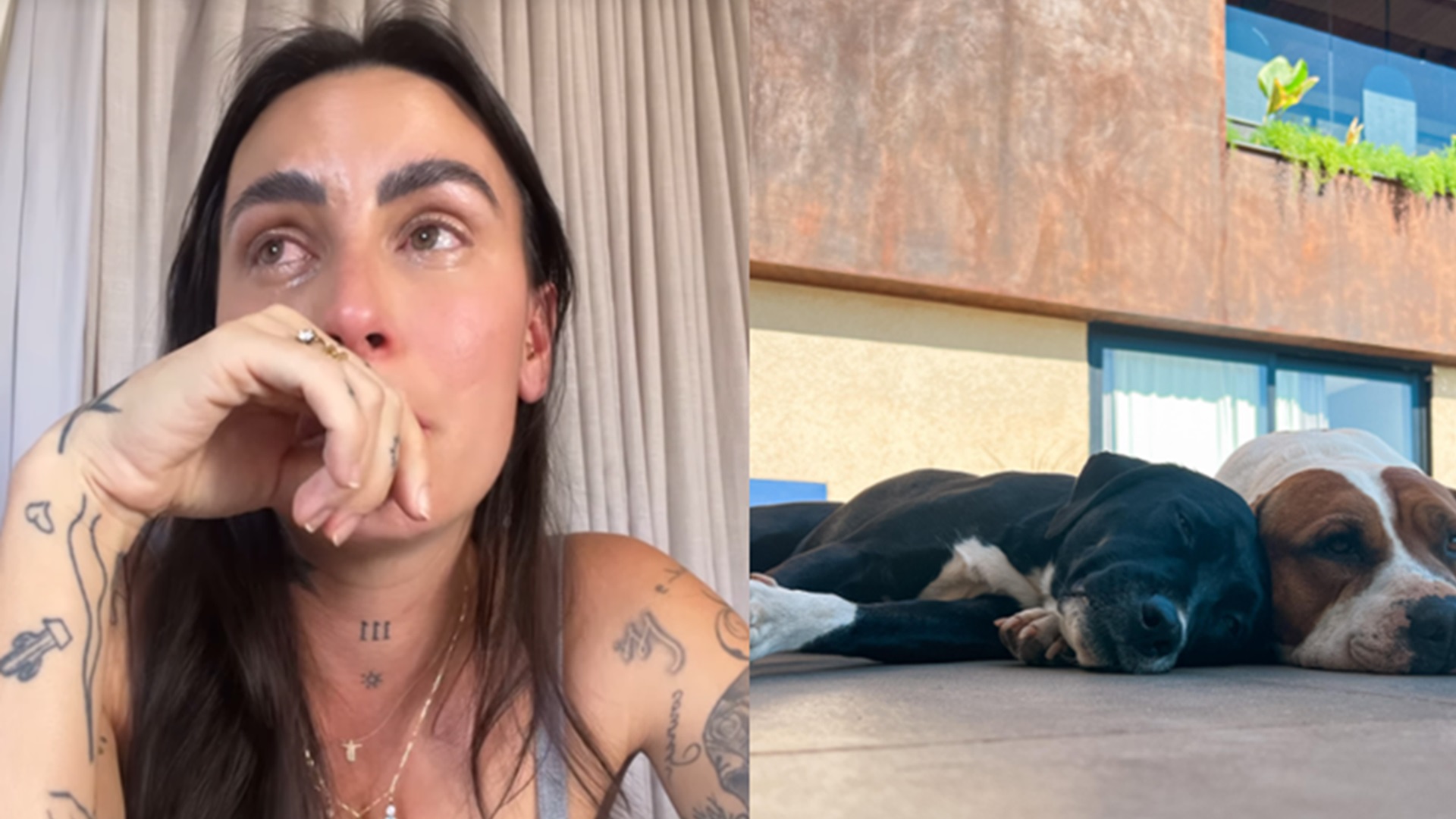 Grávida, Clara Maia revela que tirou seus cães de casa e explica o motivo: ‘Não posso’