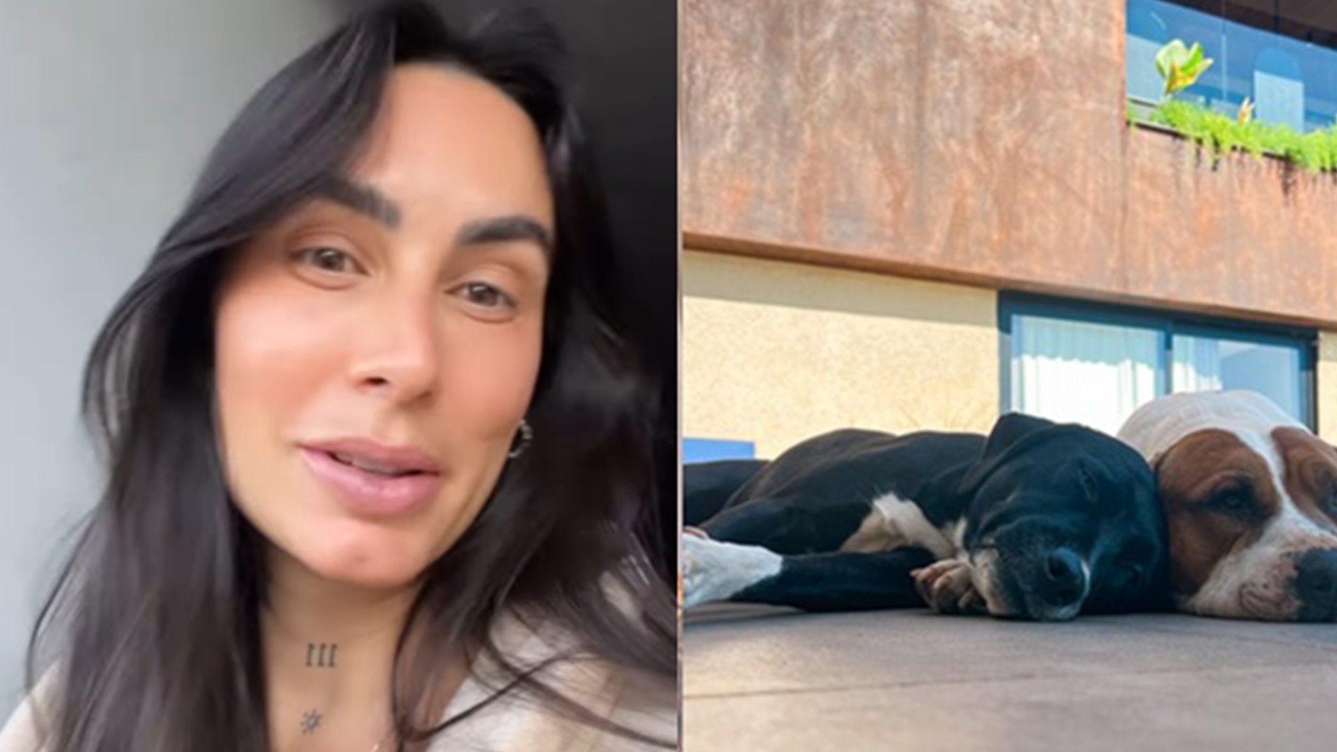 Grávida, Clara Maia volta a falar sobre decisão de tirar seus cães de casa: ‘Queria muito…’