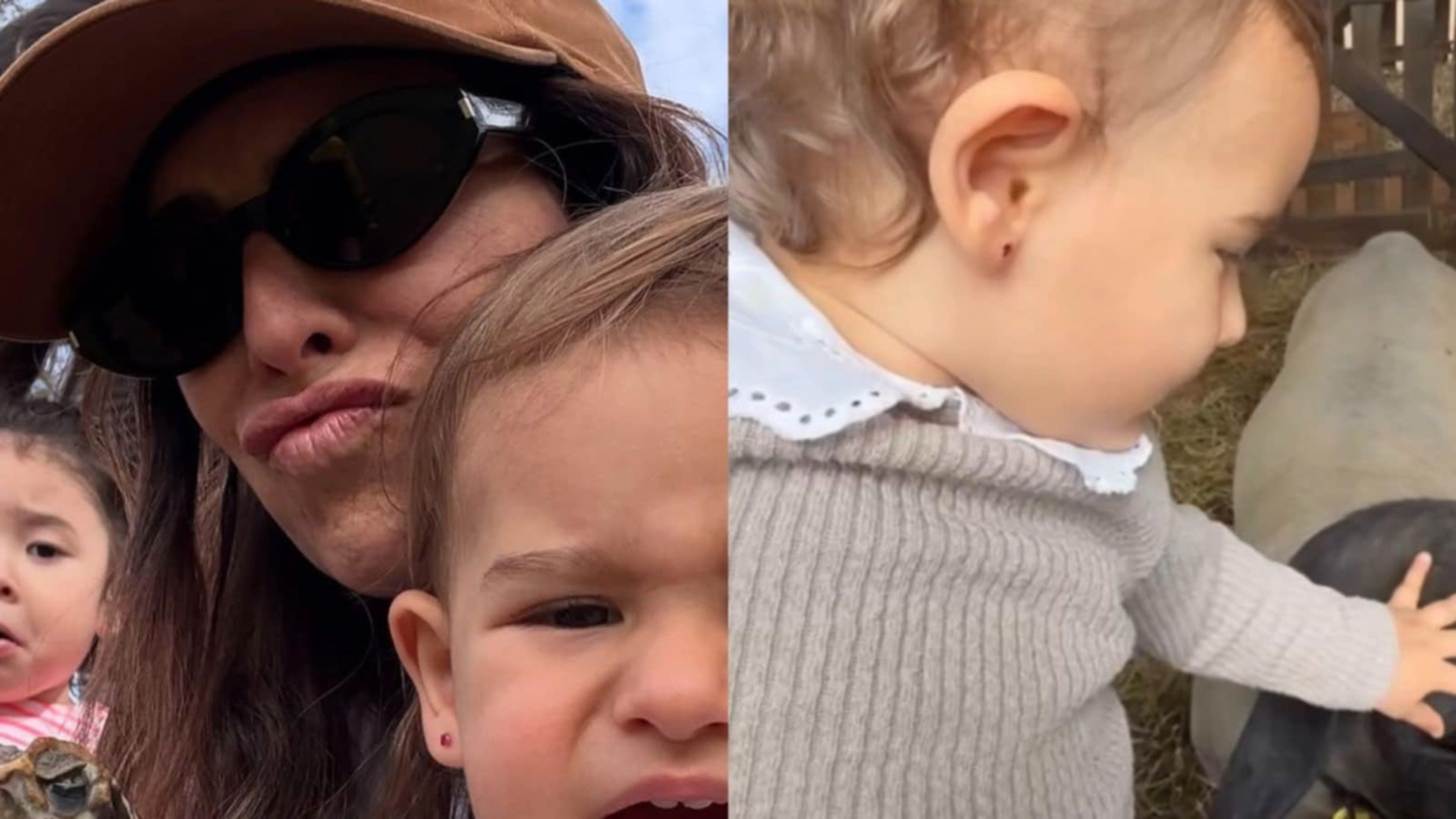 Filha de Fernanda Paes Leme esbanja fofura ao interagir com bichos; veja o vídeo