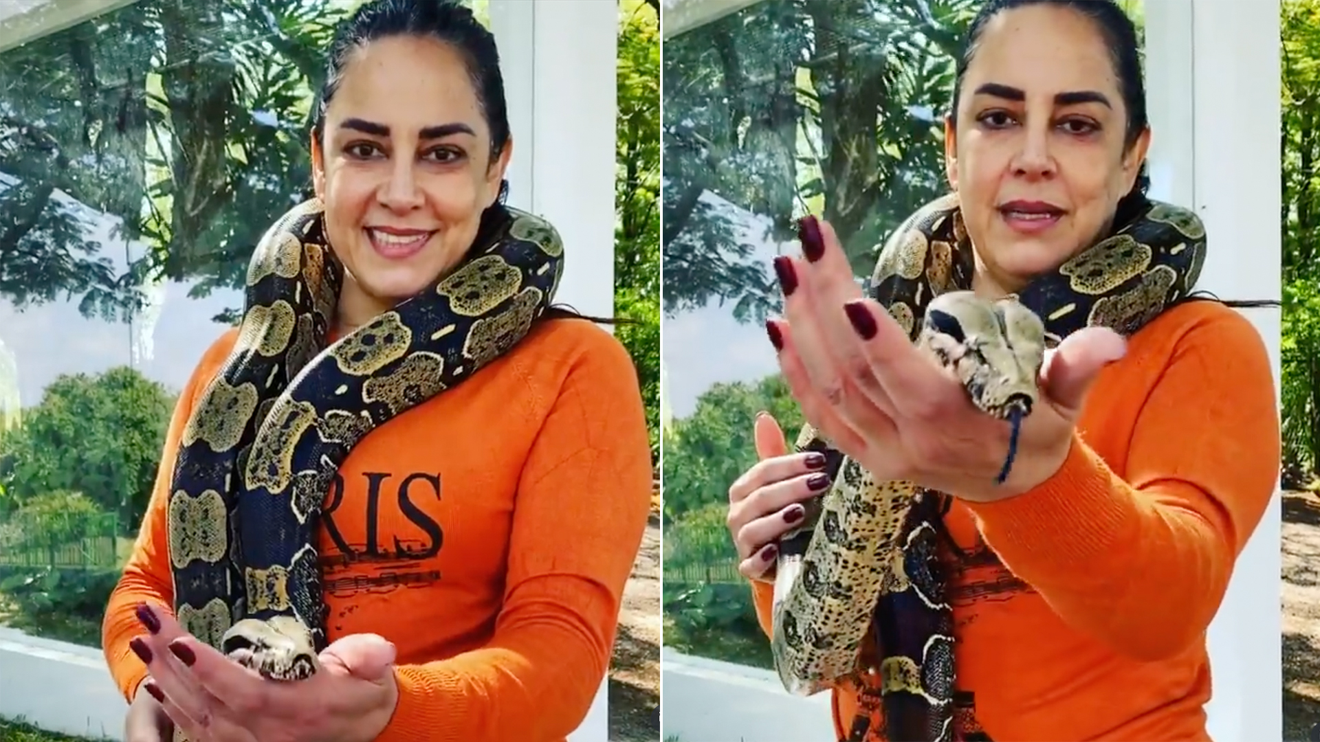Silvia Abravanel diz que já foi picada duas vezes por suas cobras