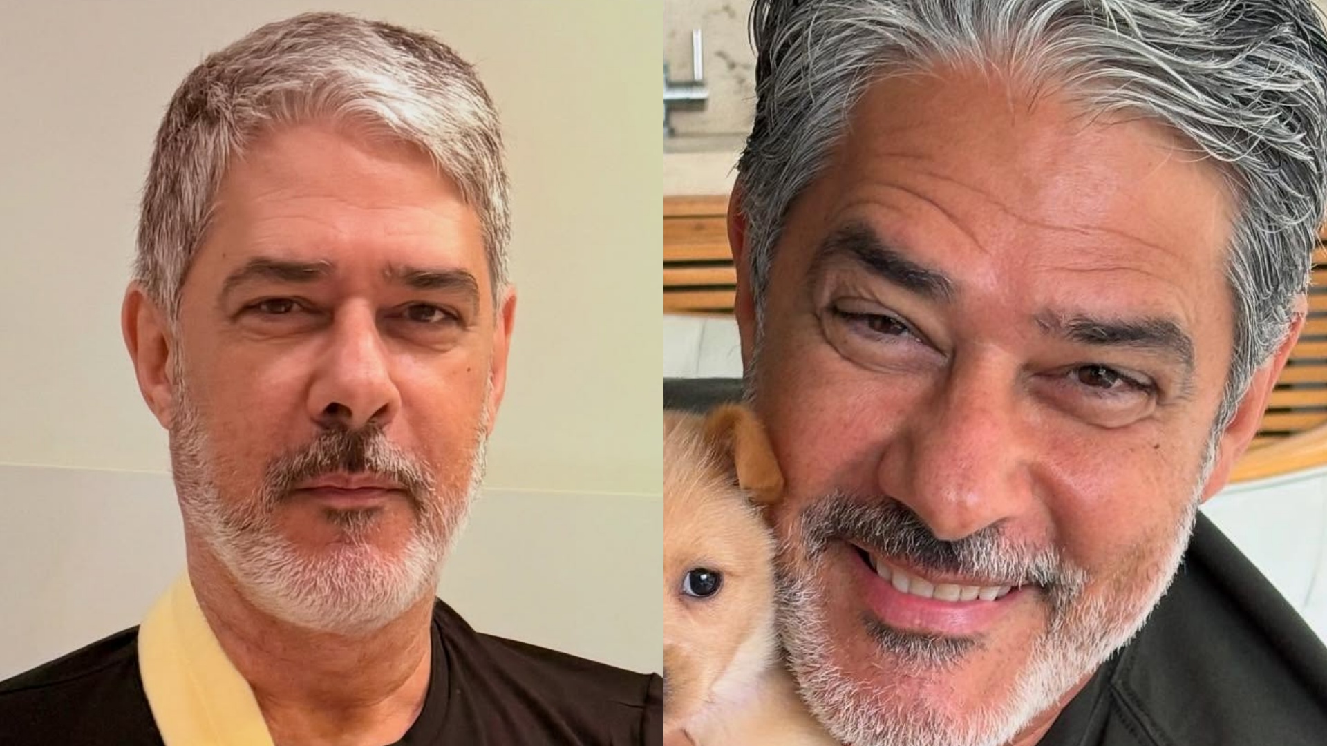 William Bonner encanta ao posar com novo membro da família
