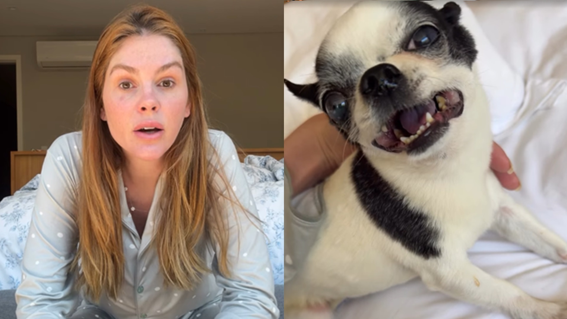 Bárbara Evans relata desespero ao levar cachorro às pressas ao veterinário: ‘Apavorada’