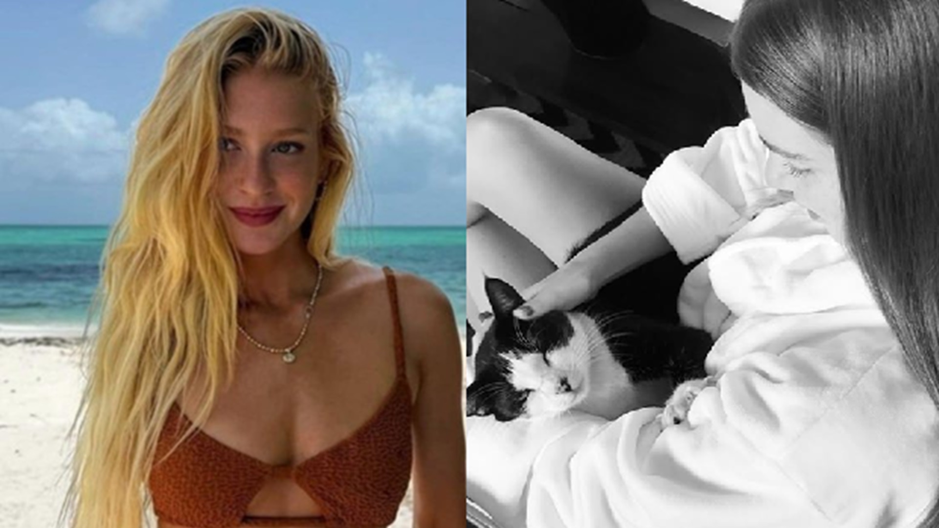 Marina Ruy Barbosa faz apelo após sumiço de seu gato: ‘Por favor’